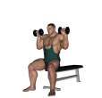 Shoulder Press - Seated Dumbbell